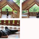 초안산 유아숲체험장 이미지