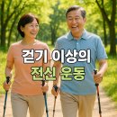 전신 걷기 운동 노르딕 워킹 | 걷기만 해도 전신 운동? | '노르딕워킹' 스틱 사용법부터 올바른 자세까지 완벽 가이드