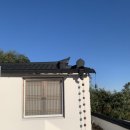 구릉 연가 이미지