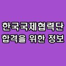 지식인력개발형태 | 코이카 면접 후기 개발협력일반 한국국제협력단 토론 영어 기출 정리