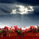 다르게 천천히 이미지