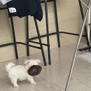 안녕아가 이미지