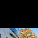 에스케이 밥심 이미지