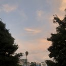 서귀포초등학교 병설유치원 이미지