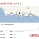 강화외포항젓갈(외포3호) 네이버블로그