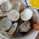 진주네맛집 이미지