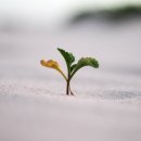 영림인력