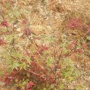 한길농원 이미지