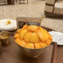 [제주] 2023년 파르나스 제주 애플망고빙수, 뇨끼 맛집 환이네 이태리식당 후기