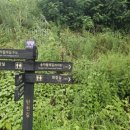 만중주