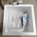 네츄럴트리트 네이버블로그