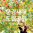 연풍면사무소 | 경북 문경 가볼만한곳 문경새재 주차 및 산책코스, 2024사과축제 정보