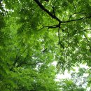 천전119안전센터 이미지