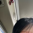 삼보볼링센타 | 주말,강아지 산책, 강아지 미용, 비숑미용, 퇴계원 애견카페, 온사이드카페
