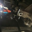 애니카랜드대치점 이미지