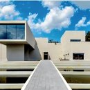 11월 6(목) / 과수체험 -하동 대봉감 특집 이미지