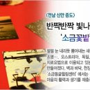 빛나는소금