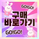 더보느 여성용 완전편해 와이드밴딩 트레이닝팬츠 2장 은근히 루틴템으로 정착