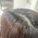 율곡초등학교 | 강릉미용실추천 교동미용실 &#34;나도(Na :Do)&#34;헤어샵