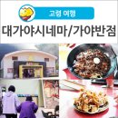 대가야반점 이미지