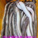 임여사수산