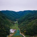 용주농원