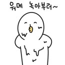 대가해물아구찜