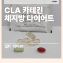CLA 다이어트보조제 솔직후기｜체지방감소 + 비타민까지 하루 한 포로 OK