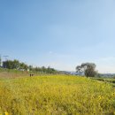 대전천북로 이미지