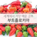 신길동별난아찌짬뽕 이미지