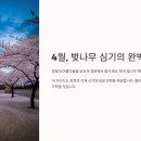 나만의 작은 정원 수경재배 힐링원예 | 🌼묘목 소비 트렌드에 숨겨진 심리 분석