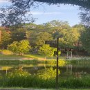 조마루로85번길 18 | 도시의 끝과 자연의 시작이 만나는 자리, 철거와 강이 들려주는 재생의 이야기