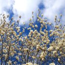 억척목장 이미지