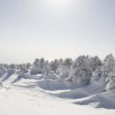 한라산 --마라도 겨울 눈꽃산행 이미지