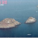 덜섬 Daum카페