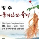 10월 경북 축제/ 가을바람타고 날아온 경북 축제 즐기러 가자요! - 문경찻사발축제, 감고을상주이야기...