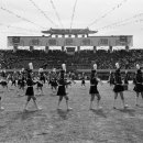 수원-1087 이미지