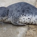 문암수산