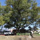 단산우체국 이미지