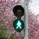 선정카공업사 이미지