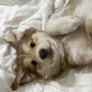 (주)앤티아이 이미지