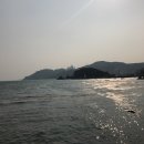 별이그린바다 이미지