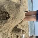 구산솔밭 이미지