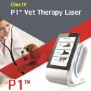 래이동물의료센터 이미지