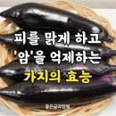 가지의 효능 이미지