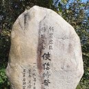 유포석보 이미지