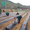 영동(분회) 이미지