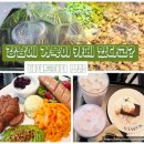 역삼중앙 | 강남역 거북이 카페🐢 역삼 이색 감성카페 슬로우커피 디저트 맛집 내돈내산 후기