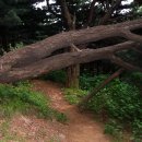 용천(안산) 이미지