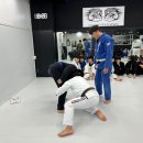 칼슨그레이시 코리아 이미지